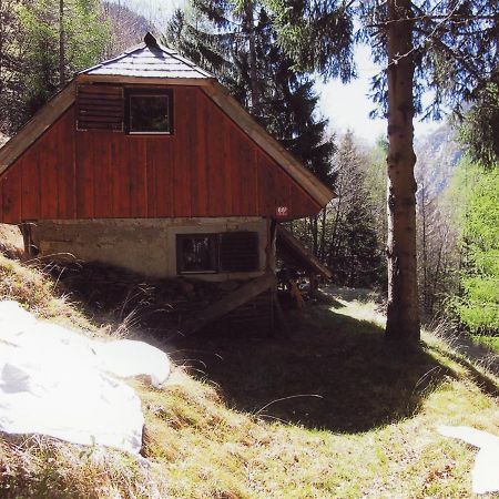 Architect'S Cottage - Serenity And Greenery In The Highlands Soča Exteriér fotografie