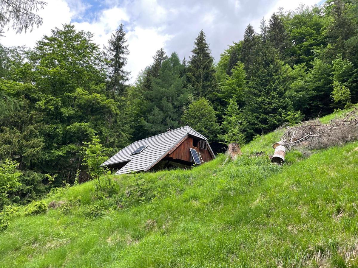 Architect'S Cottage - Serenity And Greenery In The Highlands Soča Exteriér fotografie